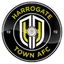 Logo Harrogate Town W