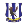 Logo Lye Town W