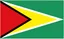 Logo Guyana (nữ)