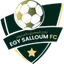Logo Al Masry Salloum