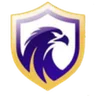 Logo Falcon U20