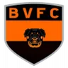Logo Bela Vista TO