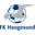 Logo Haugesund II