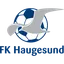 Logo Haugesund II