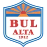 Logo Bossekop