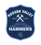 Logo Hudson Valley Hammers