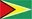 Logo U17 Guyana (nữ)