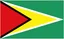 Logo U17 Guyana (nữ)