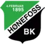 Logo Hønefoss W