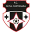 Logo Oltul Curtişoara