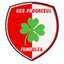 Logo Progresul Fundulea