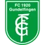 Logo Gundelfingen