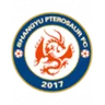 Logo Shangyu Pterosaur