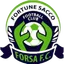 Logo Fortune Sacco