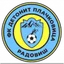 Logo Detonit Plachkovica