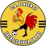 Logo Platense