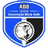 Logo Black Bulls Maputo