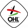 Logo Oud-Heverlee Leuven II