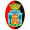 Logo USD Palmese