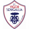 Logo Vigor Senigallia