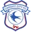 Logo Cardiff City U21