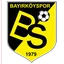 Logo Bilecik 1969 Spor