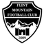 Logo Flint Mountain