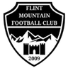 Logo Flint Mountain
