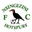 Logo Nsingizini Hotspurs