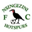 Logo Nsingizini Hotspurs