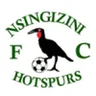 Logo Nsingizini Hotspurs