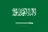 Logo Ả Rập Xê Út (nữ)