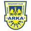 Logo Arka Gdynia U19