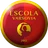 Logo Escola Varsovia U19