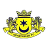 Logo Moneyfields W