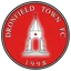 Logo Dronfield Town W