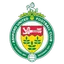 Logo Ashford United W