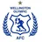 Logo Wellington Olympic