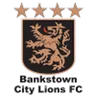 Logo Bankstown City Lions