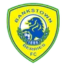 Logo Canterbury Bankstown
