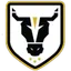 Logo Bulls Academy