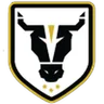 Logo Bulls Academy