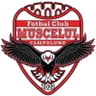 Logo Muscelul Câmpulung Elite