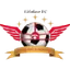 Logo Lifofane