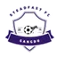 Logo Steadfast