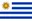 Logo U17 Uruguay