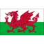 Logo U18 Wales
