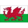 Logo U18 Wales