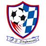 Logo Ştefăneşti