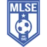 Logo Martfűi LSE